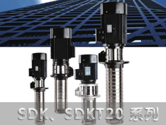 SDK20/SDKT20侵入式多級(jí)離心泵
